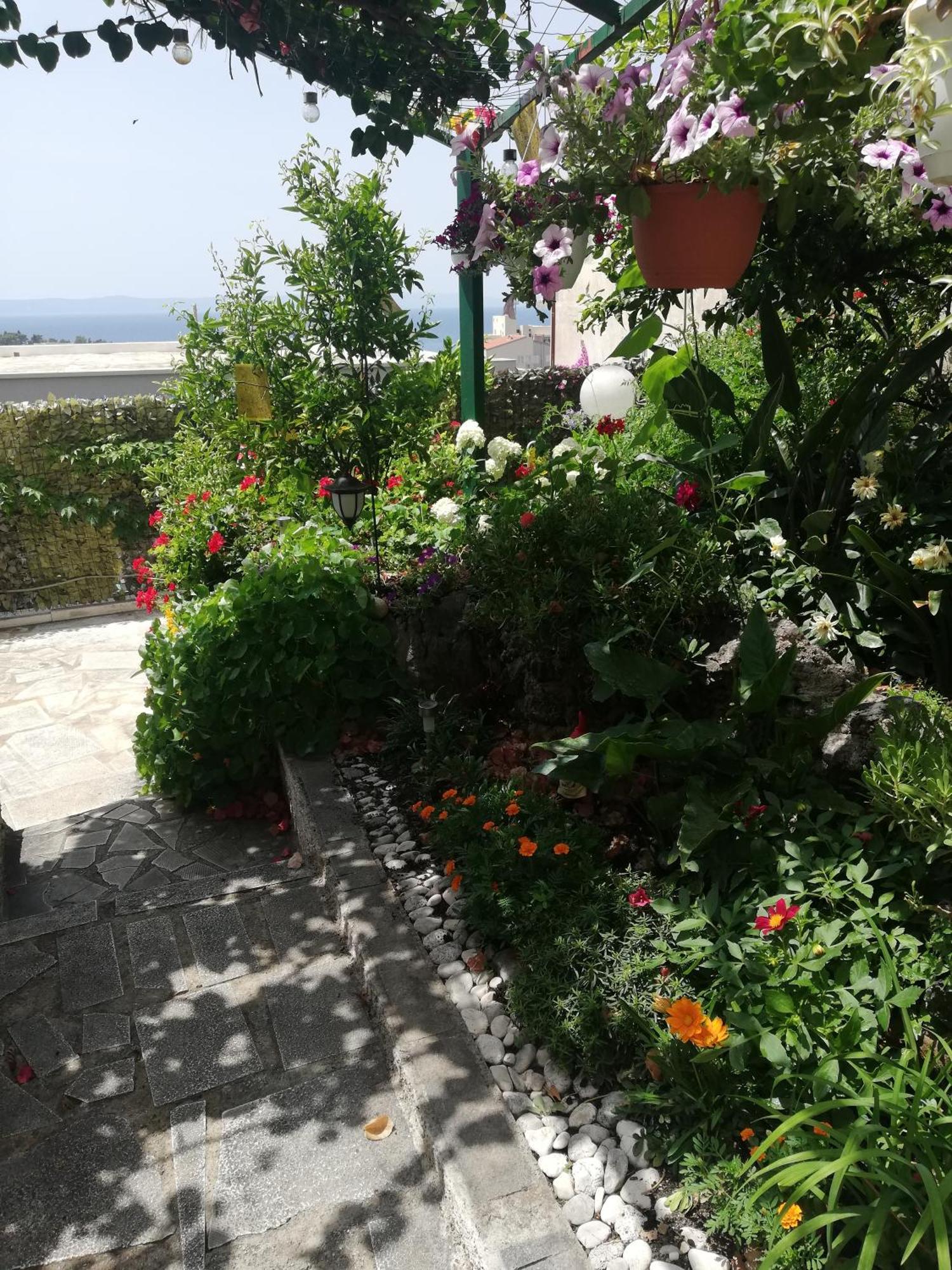 Apartment D&M1 Makarska Exterior foto